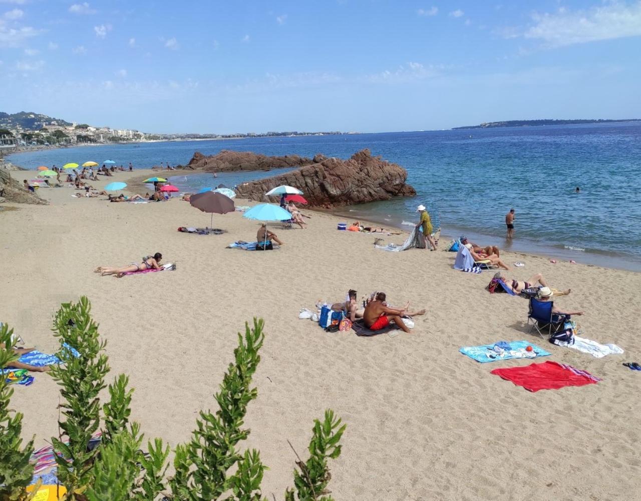 Agreable D'hote A 50m De La Alloggio in famiglia Cannes